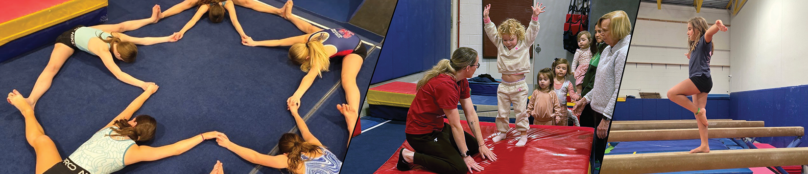 Page Banner_Gymnastics Page Banner_Gymnastics